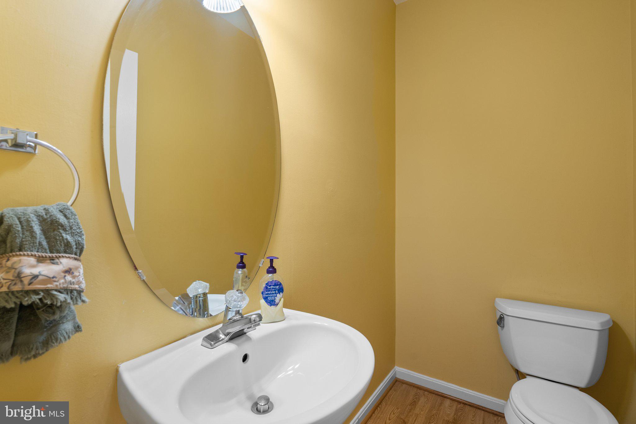 21937 Thompson Square Sterling, VA 20166 - Photo 30 of 48 a bathroom with a sink and a mirror