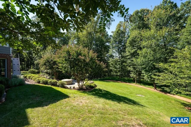 a view of a park with large trees