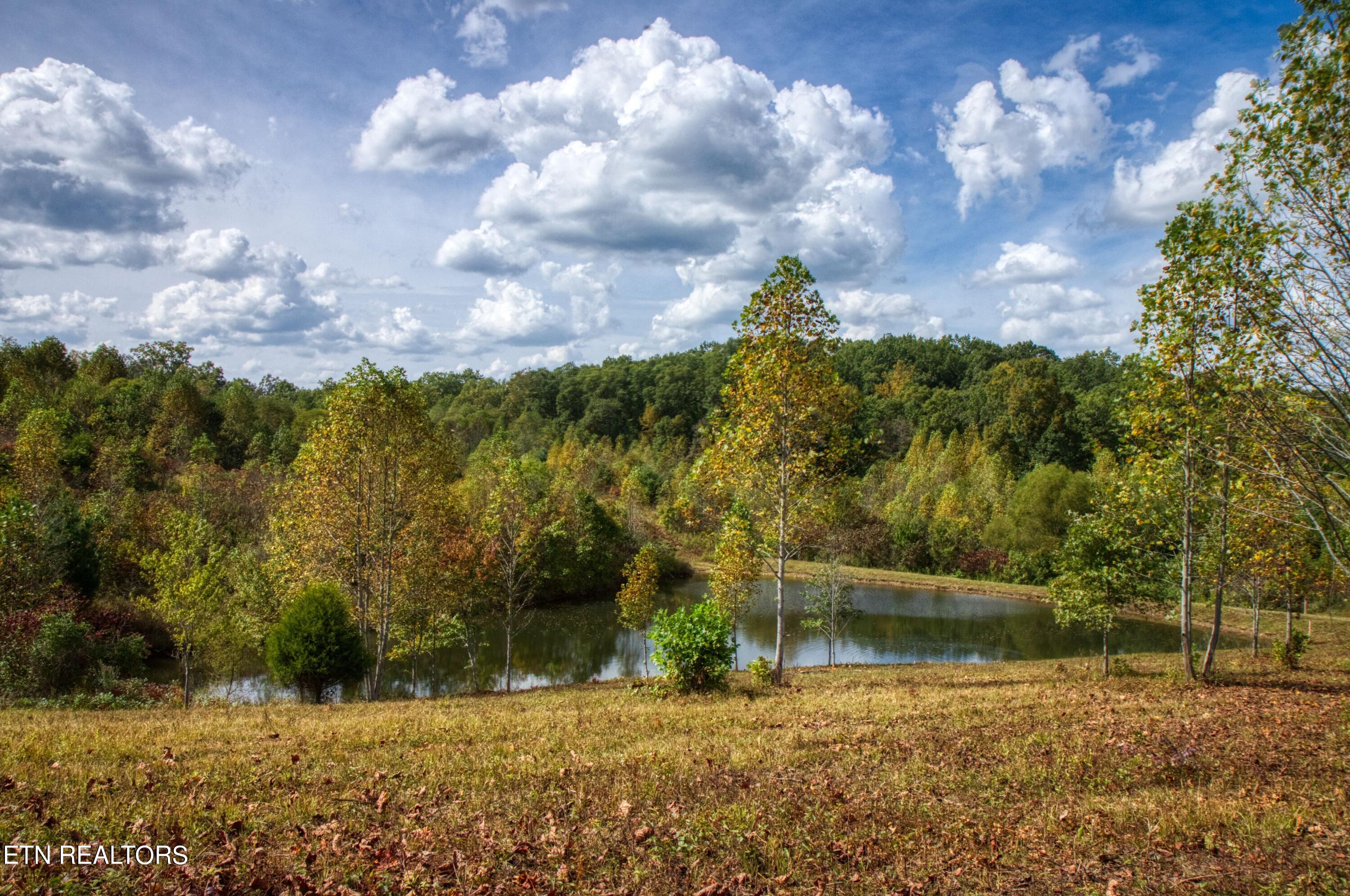 Lot 22 Zenith Road Allardt, TN 38504 - Photo 2 of 4 2