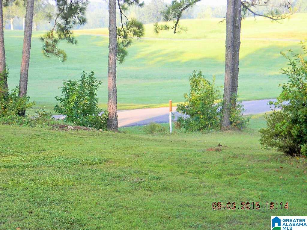 252 County Road 68 Clanton, AL 35046 - Photo 9 of 11