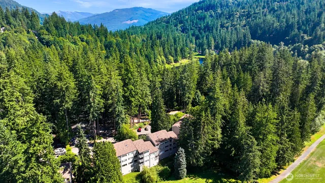 a view of a lush green forest with a house