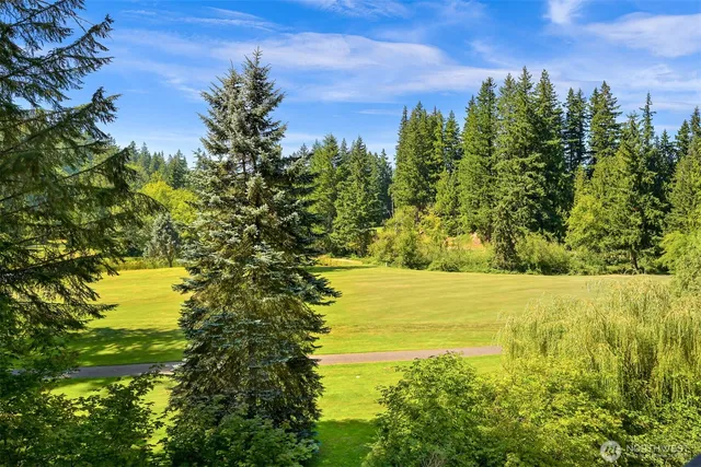a view of an ocean from a yard