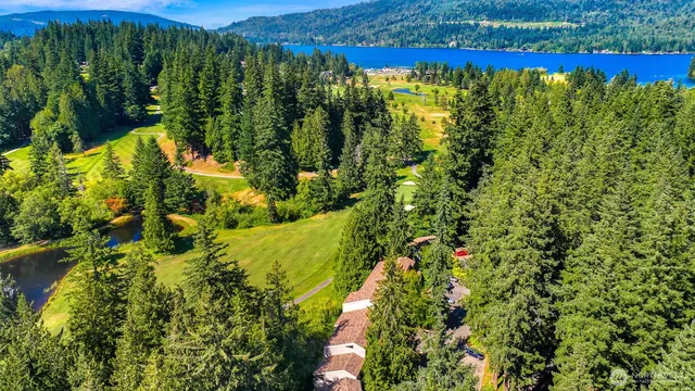 a view of a yard with plants and large trees