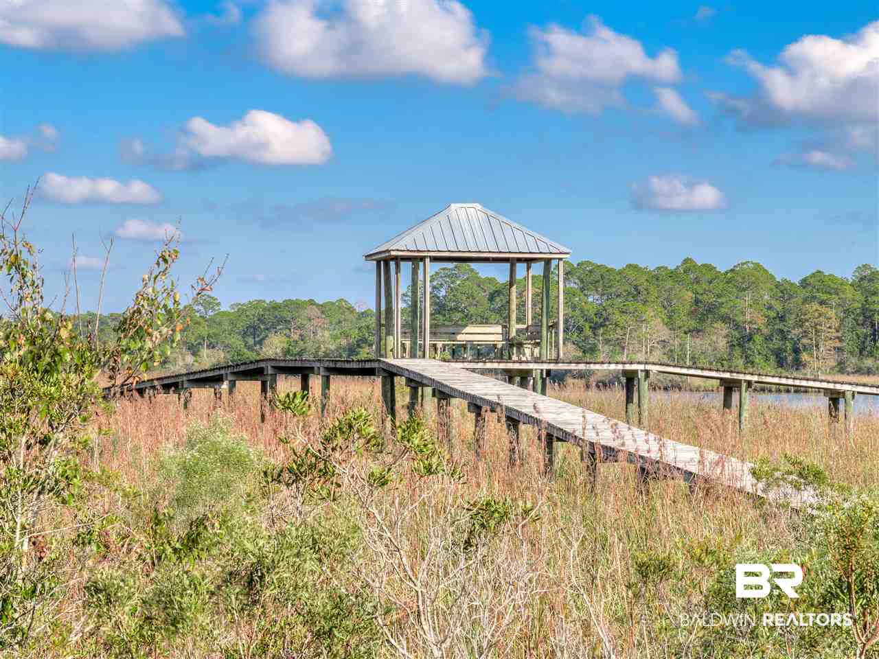 326 River Route Foley, AL 36535 - Photo 39 of 50
