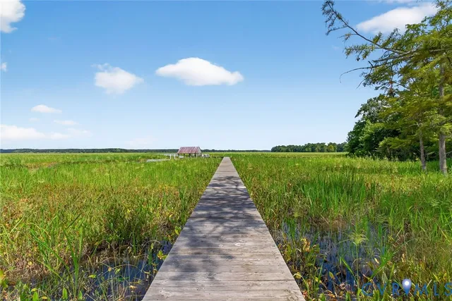 a view of a pathway with a garden