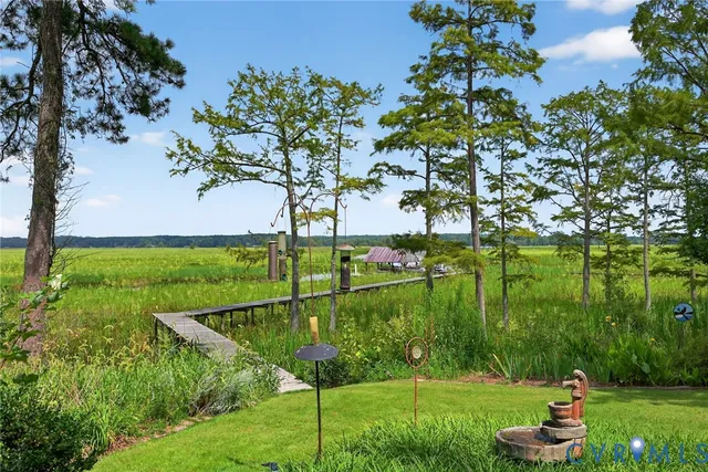 a view of a garden with a lake