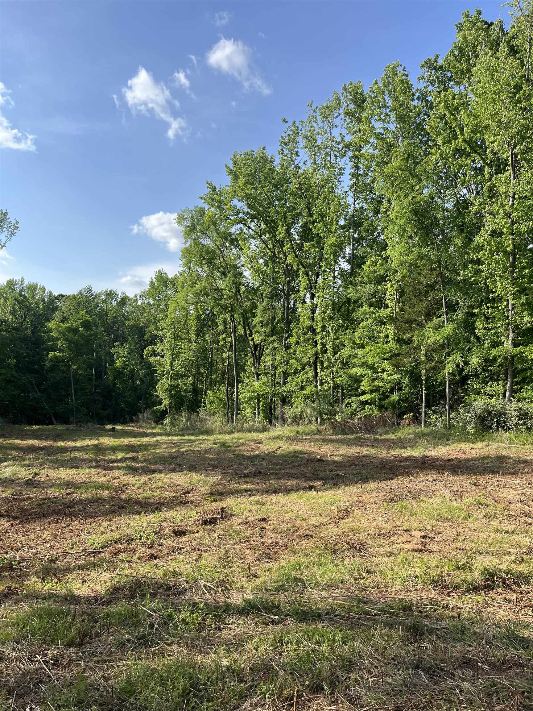250 Nash Road Moore, SC 29369 - Photo 2 of 8