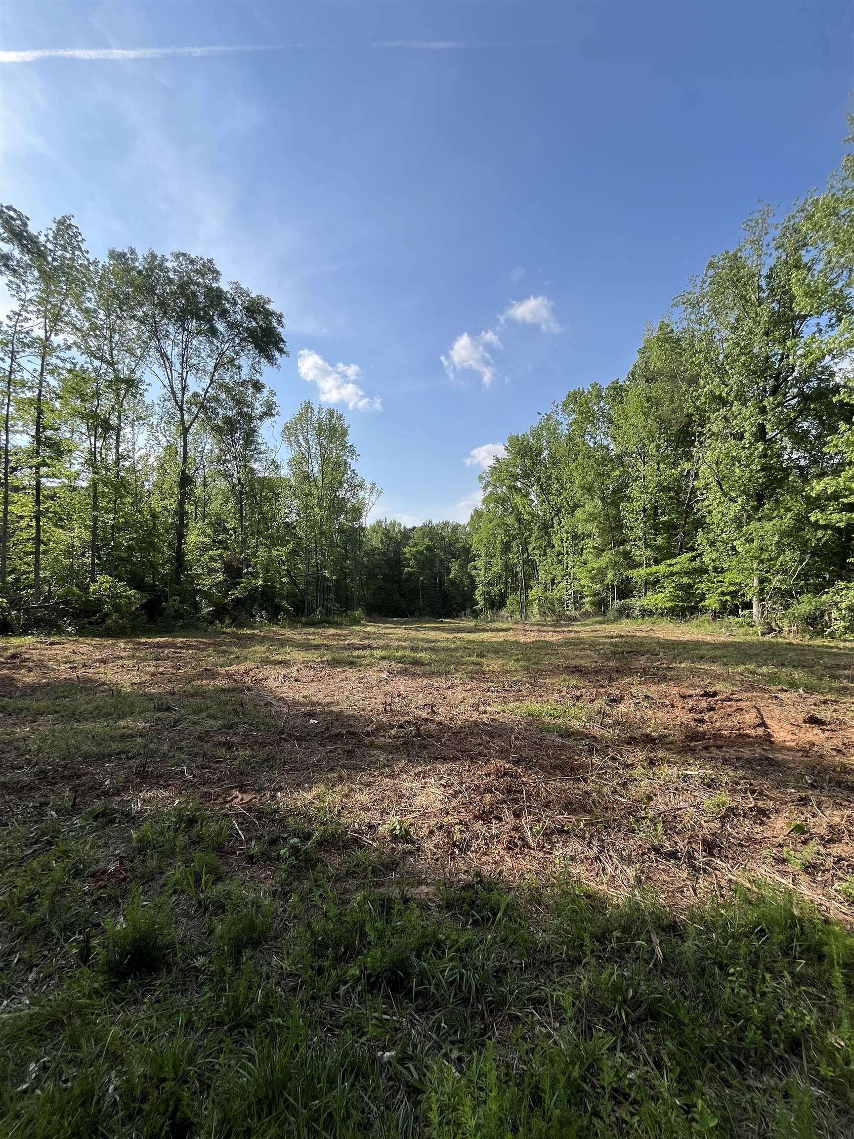 250 Nash Road Moore, SC 29369 - Photo 3 of 8