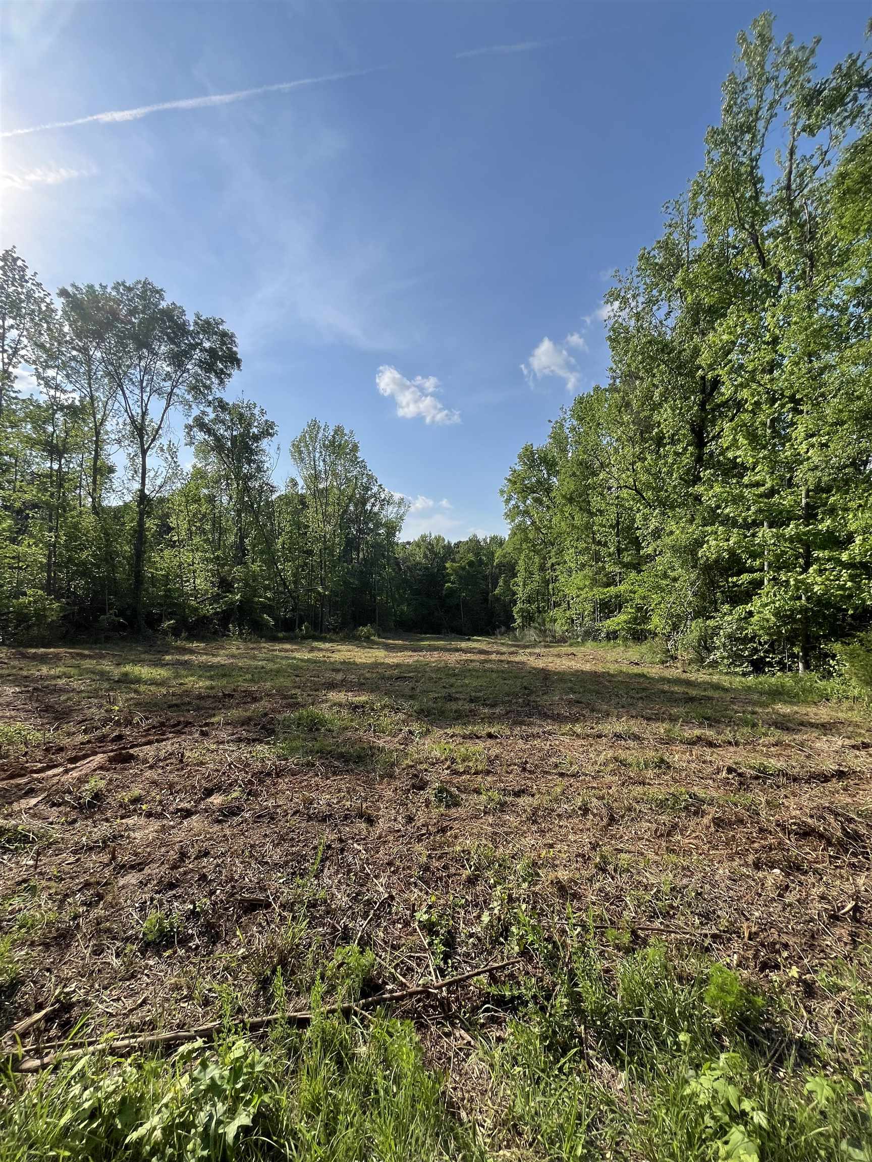 250 Nash Road Moore, SC 29369 - Photo 4 of 8