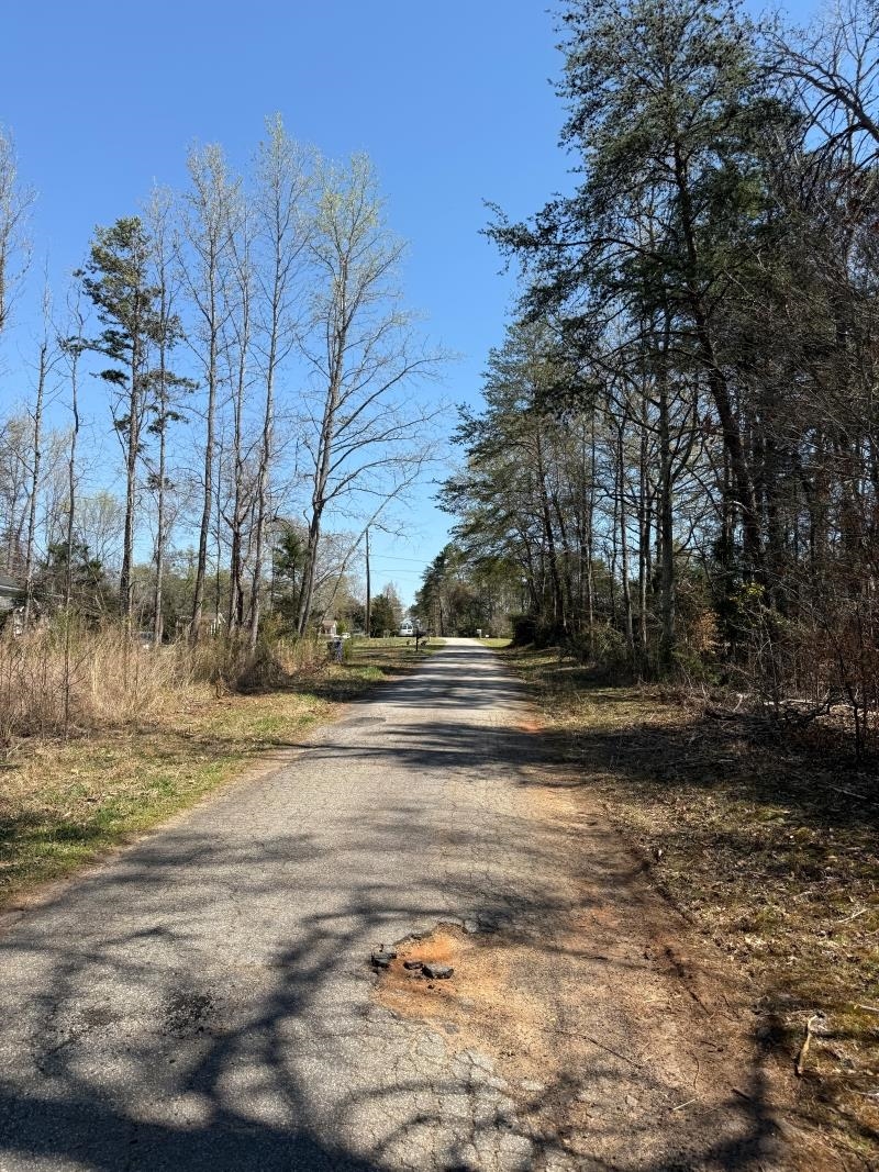 250 Nash Road Moore, SC 29369 - Photo 7 of 8