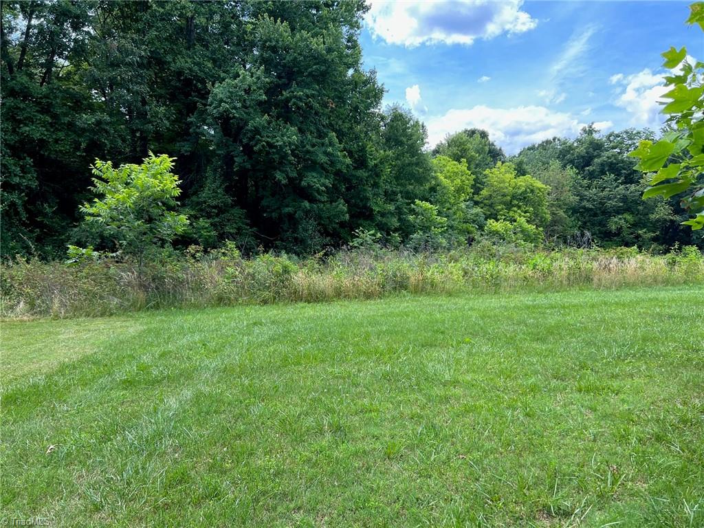 2945 Harding Steelman Road Yadkinville, NC 27055 - Photo 21 of 22 Gallery Image 21