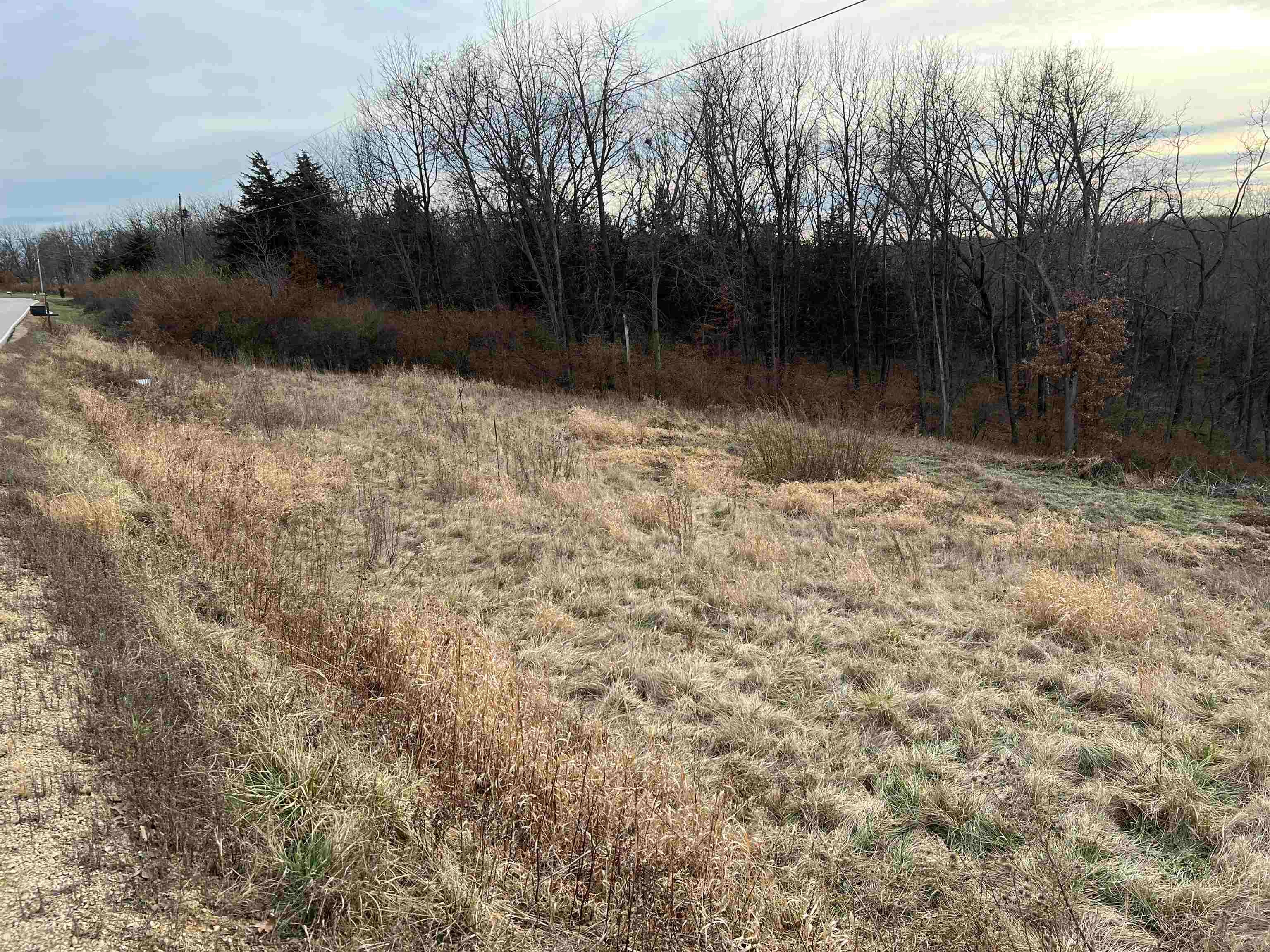 0 St Catherine Road Bellevue, IA 52031 - Photo 3 of 4 Gallery Image 3