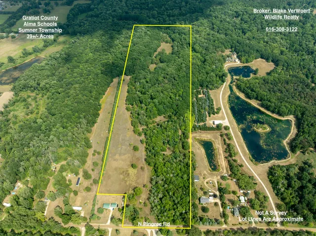 $249,000 | 39-acres North Pingree Road, Alma, MI 48801