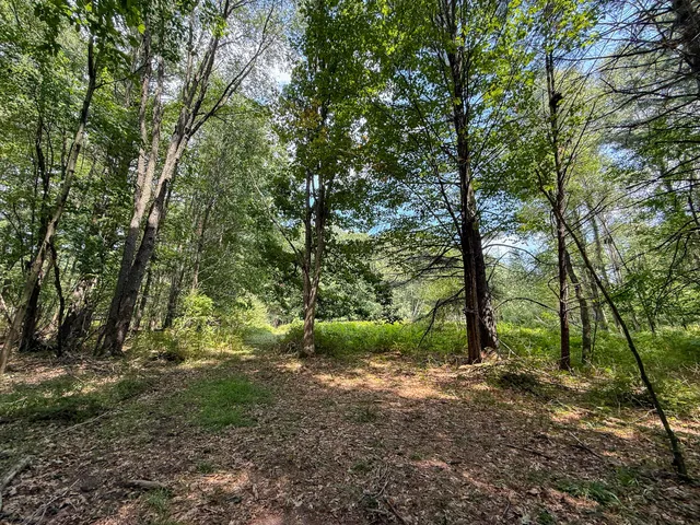 $249,000 | 39-acres North Pingree Road, Alma, MI 48801