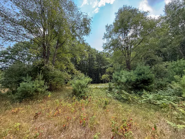 $249,000 | 39-acres North Pingree Road, Alma, MI 48801