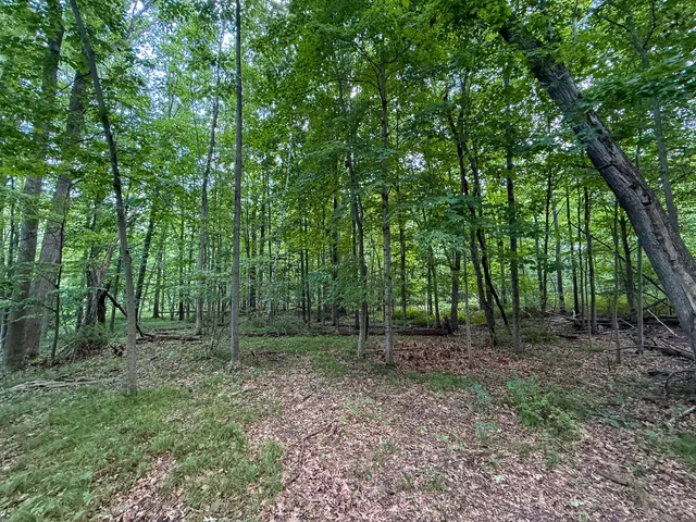 $249,000 | 39-acres North Pingree Road, Alma, MI 48801