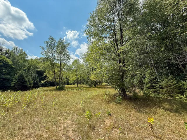 $249,000 | 39-acres North Pingree Road, Alma, MI 48801