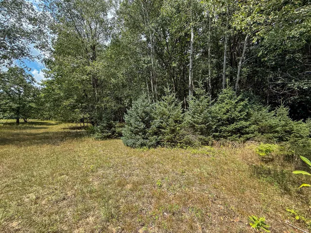 $249,000 | 39-acres North Pingree Road, Alma, MI 48801
