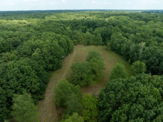 $249,000 | 39-acres North Pingree Road, Alma, MI 48801