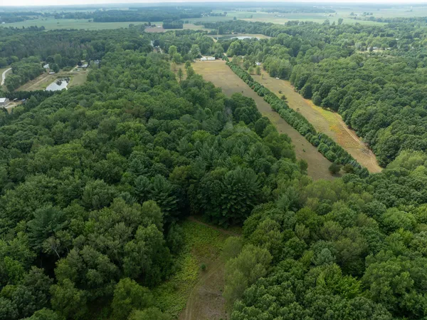 $249,900 | 39 North Pingree Road, Alma, MI 48801