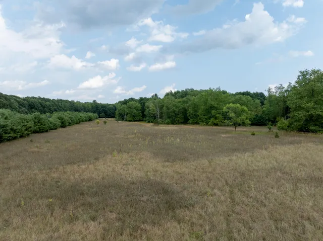 $249,000 | 39-acres North Pingree Road, Alma, MI 48801