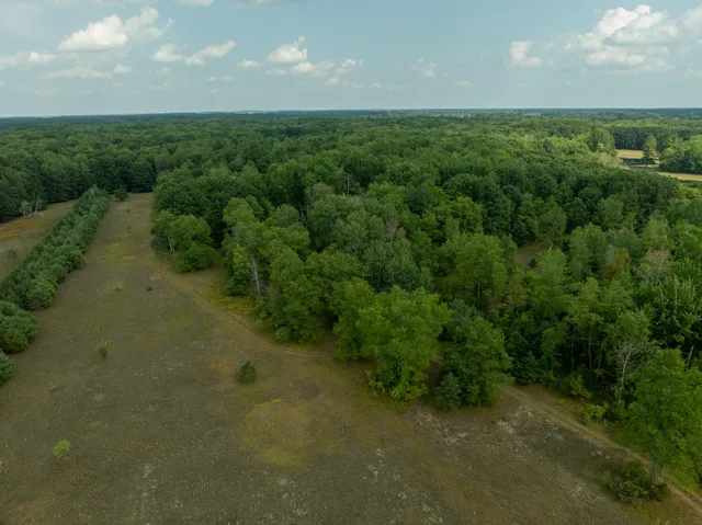 $249,000 | 39-acres North Pingree Road, Alma, MI 48801