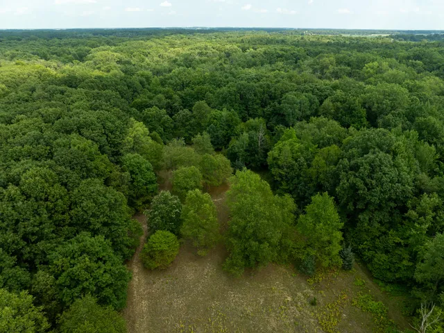 $249,000 | 39-acres North Pingree Road, Alma, MI 48801