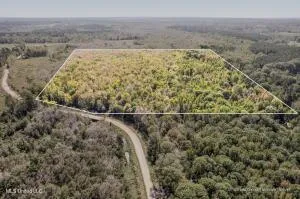$69,900 | 83 Bill Willis Road, Union, MS 39365
