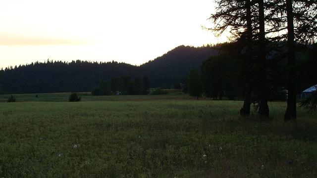 4516 Whittier Road Clayton, WA 99110 - Photo 2 of 4