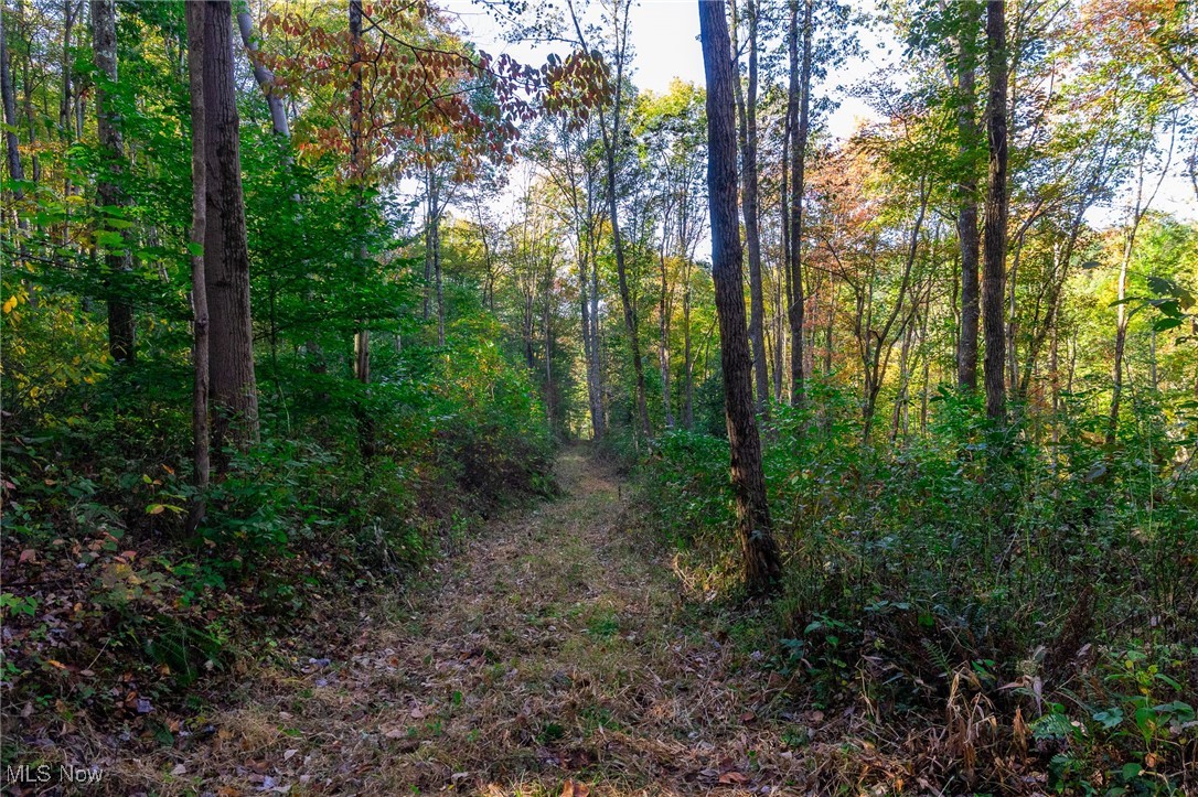 Southwest Johnson Hill Road Newcomerstown, OH 43832 - Photo 28 of 46 View of woods