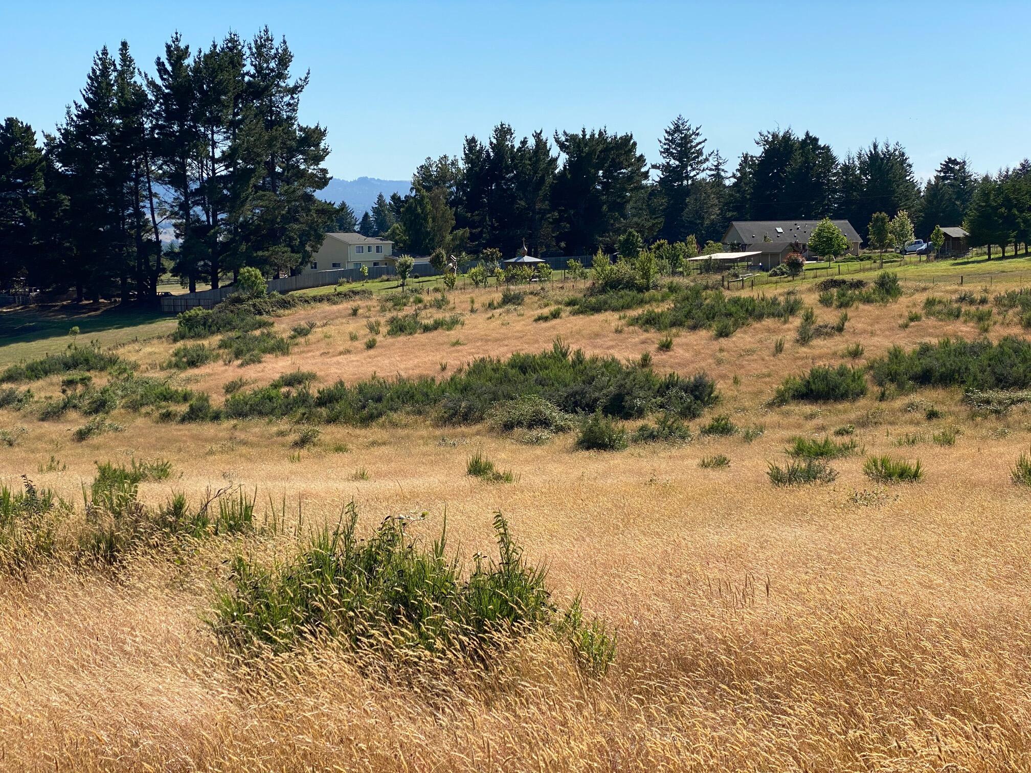 0 Nelson Lane Fortuna, CA 95540 - Photo 4 of 7