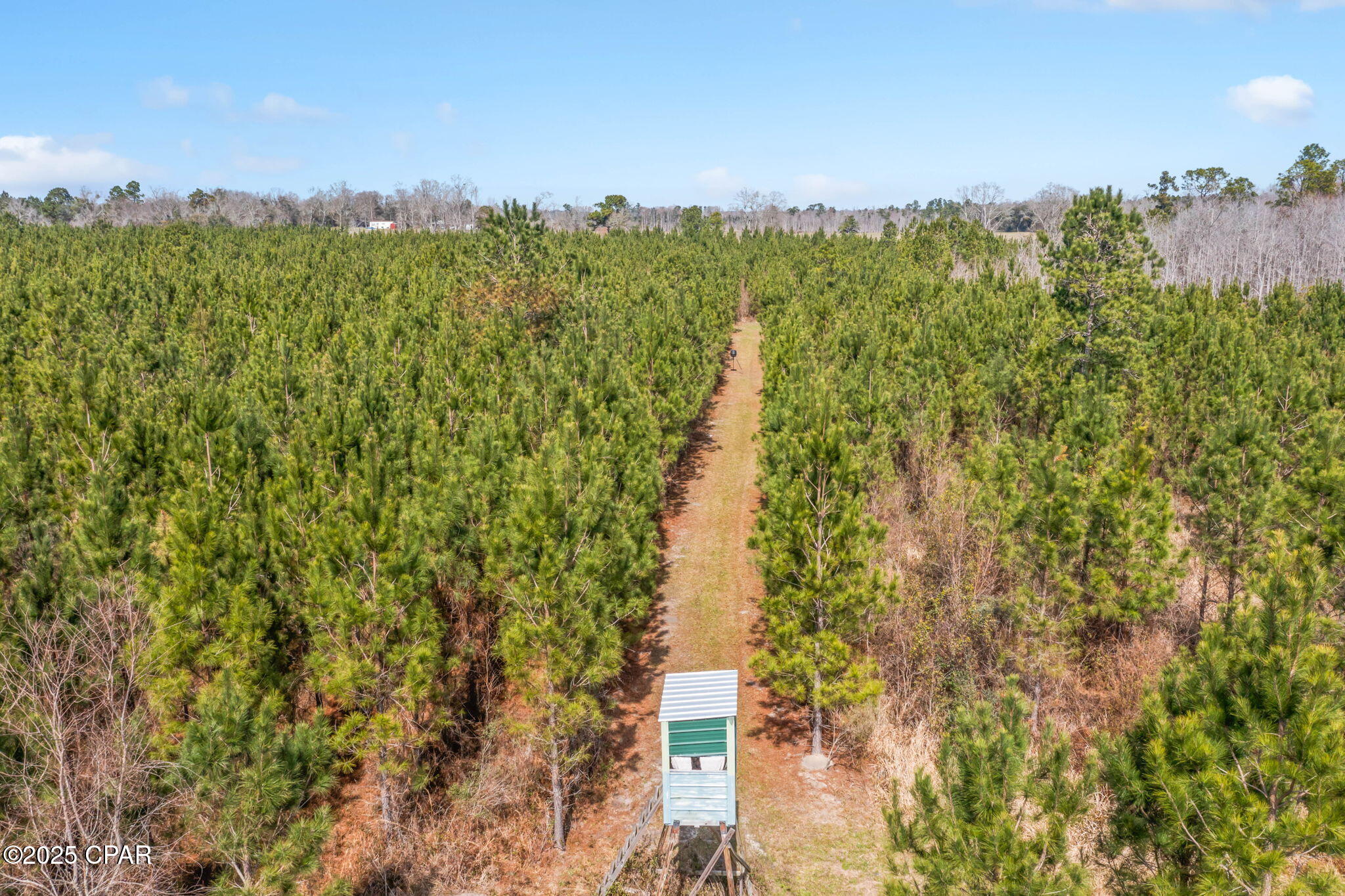 Lot 2 New Prospect Road Chipley, FL 32428 - Photo 12 of 26