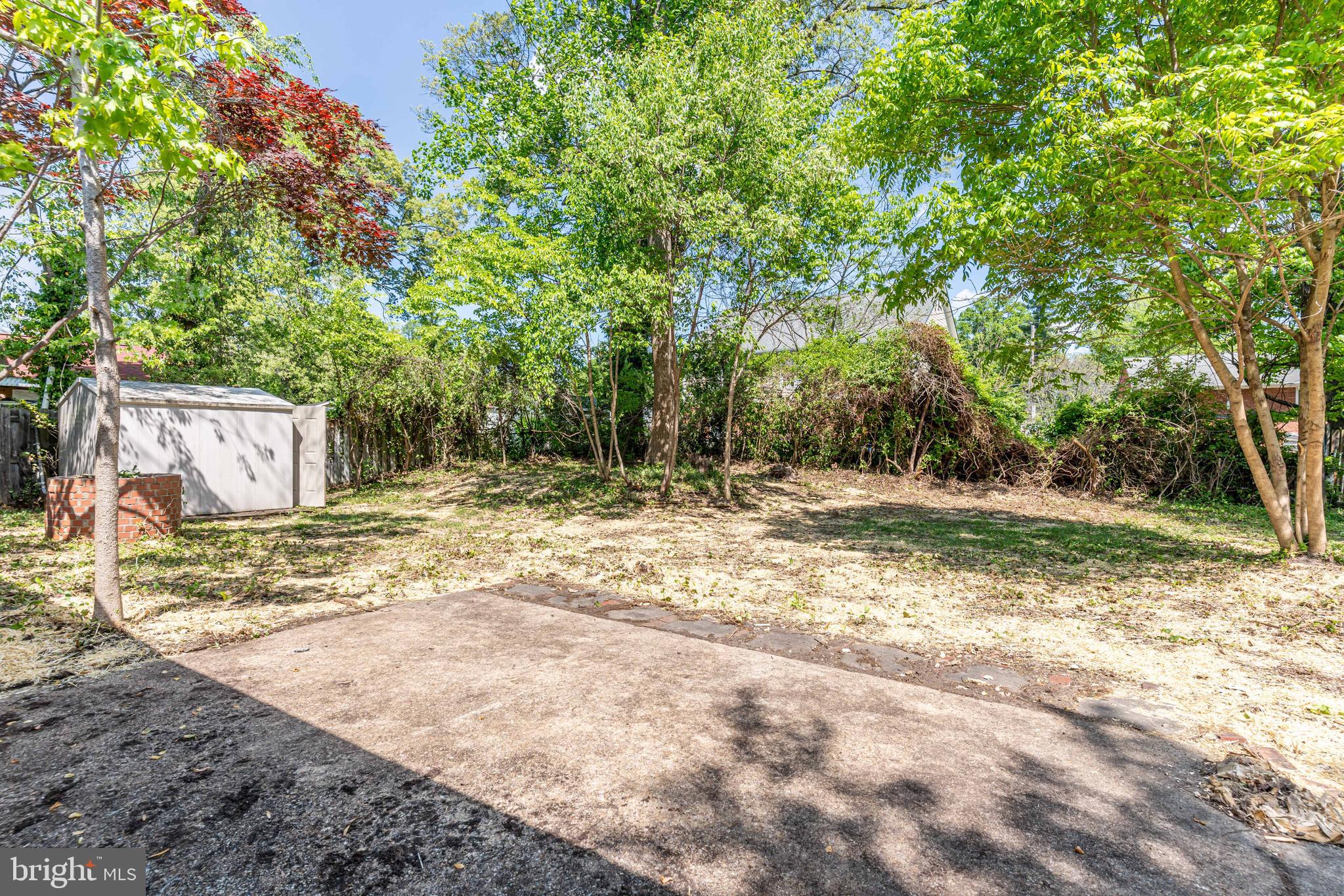 5506 Joplin Street Springfield, VA 22151 - Photo 29 of 32 a view of backyard space and trees