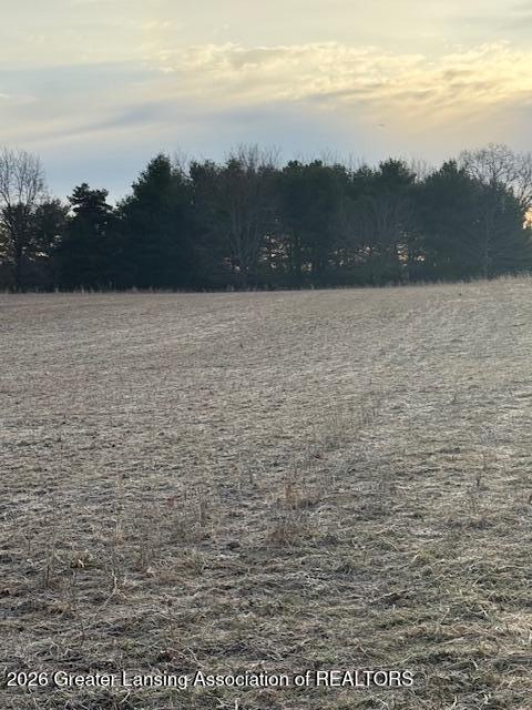 0 South Watson Road St. Johns, MI 48879 - Photo 5 of 10 IMG_92055176