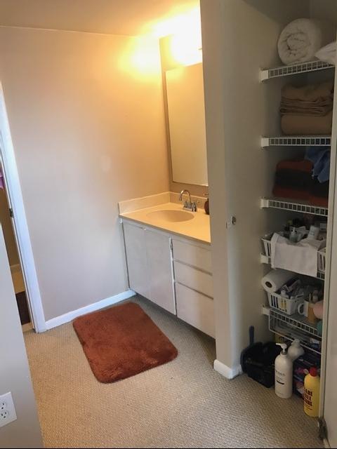 6037 Balboa Circle, Unit 204 Boca Raton, FL 33433 - Photo 10 of 18 bathroom area