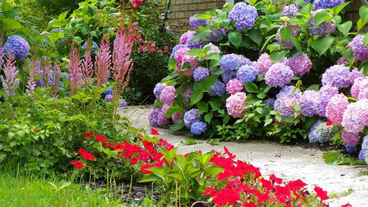 10 Charles Road Colonie, NY 12110 - Photo 15 of 18 Photo 15