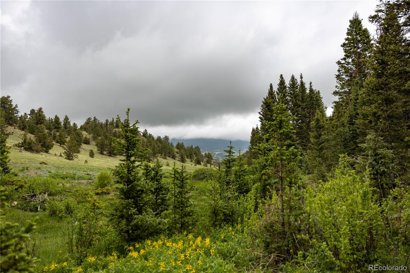 Undisclosed Address Guffey, CO 80820 - Photo 9 of 45 Gallery Image 9