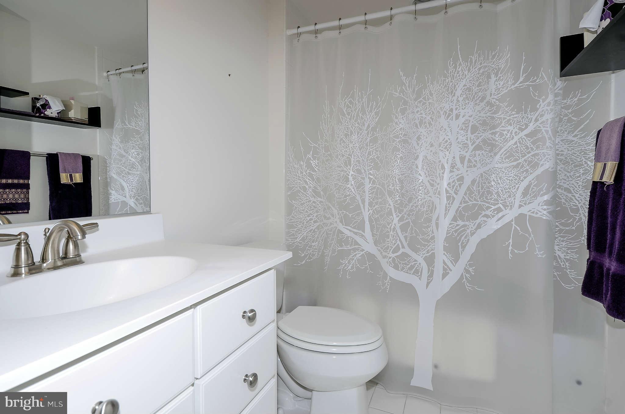 844 West Glebe Road Alexandria, VA 22305 - Photo 3 of 18 Entry Level Full Bathroom