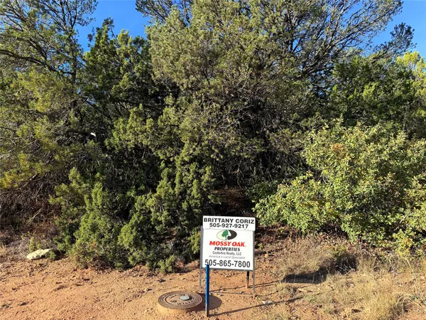 $24,500 | 9 Peterson Road, Edgewood, NM 87015