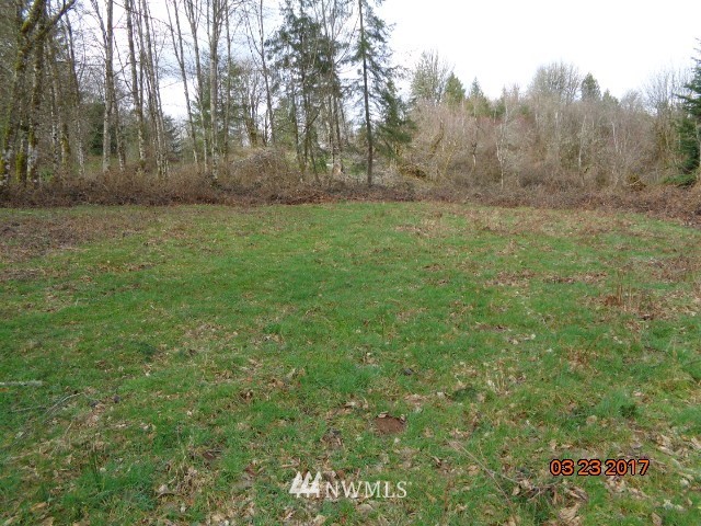 9999999 A Ragland Road Longview, WA 98632 - Photo 1 of 11 Gallery Image 1