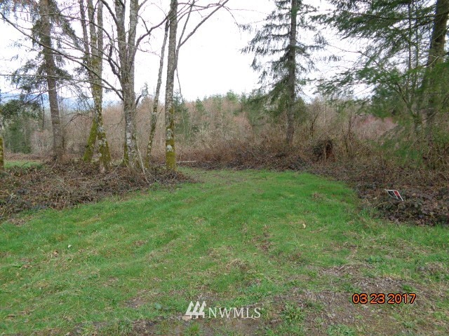 9999999 A Ragland Road Longview, WA 98632 - Photo 2 of 11 Gallery Image 2