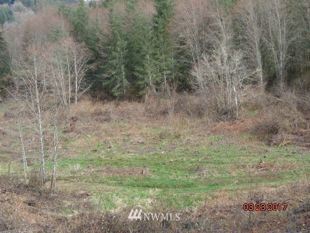 9999999 A Ragland Road Longview, WA 98632 - Photo 11 of 11 Gallery Image 11