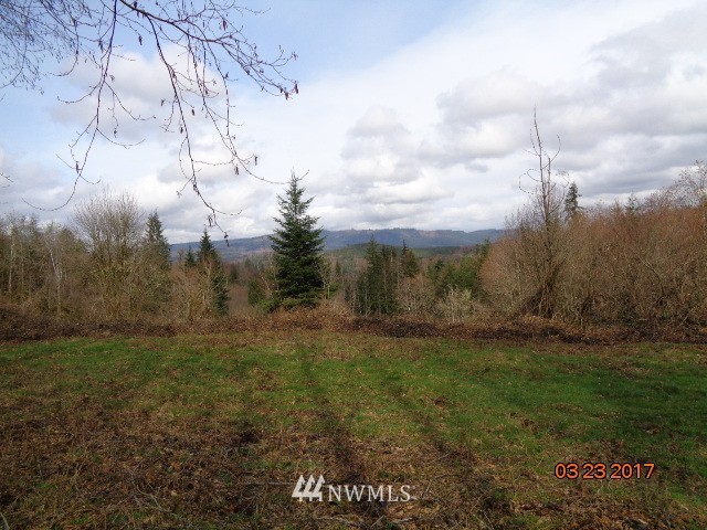9999999 A Ragland Road Longview, WA 98632 - Photo 3 of 11 Gallery Image 3
