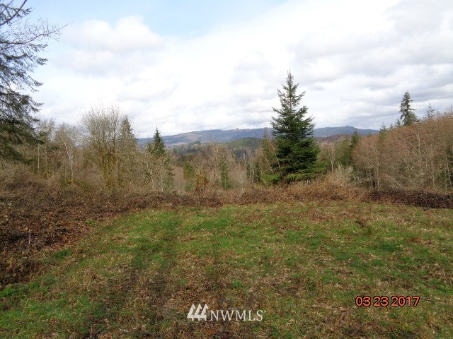 9999999 A Ragland Road Longview, WA 98632 - Photo 4 of 11 Gallery Image 4