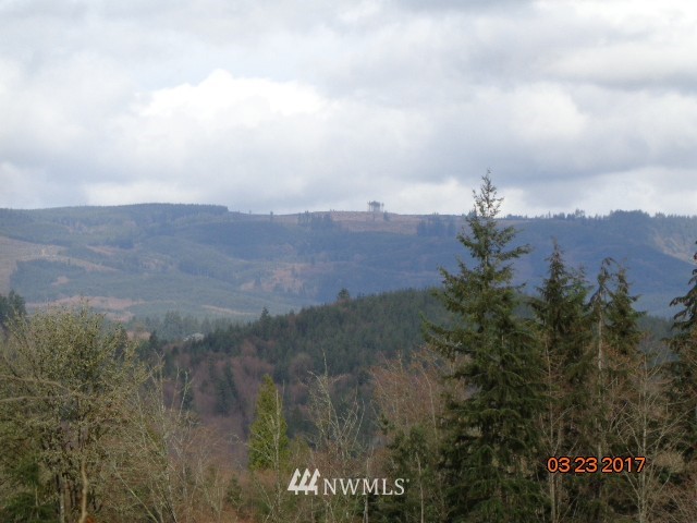 9999999 A Ragland Road Longview, WA 98632 - Photo 5 of 11 Gallery Image 5