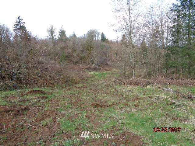 9999999 A Ragland Road Longview, WA 98632 - Photo 6 of 11 Gallery Image 6