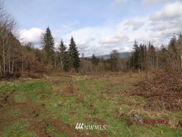 9999999 A Ragland Road Longview, WA 98632 - Photo 8 of 11 Gallery Image 8