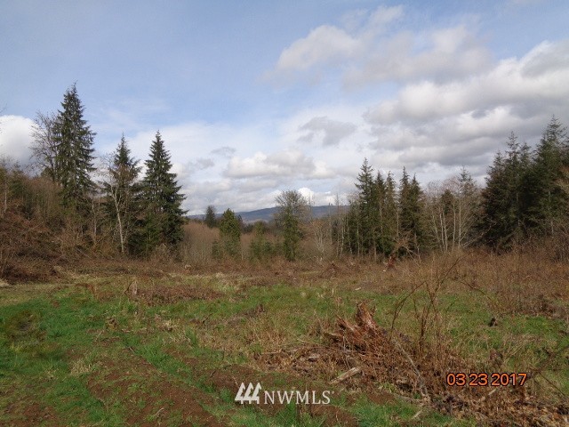 9999999 A Ragland Road Longview, WA 98632 - Photo 9 of 11 Gallery Image 9