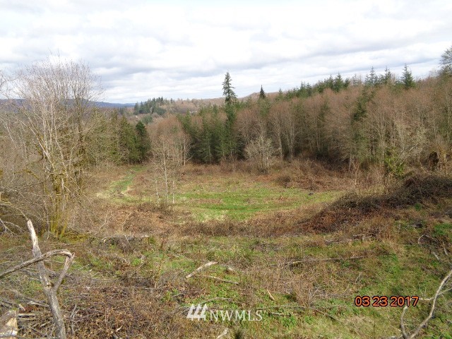9999999 A Ragland Road Longview, WA 98632 - Photo 10 of 11 Gallery Image 10