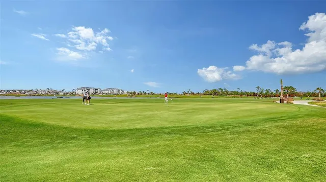 a view of a park with palm trees